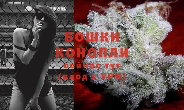 спиды Бронницы